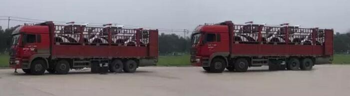 跃迪移动城管执法站、跃迪电动巡逻车大批量发往首都北京——有跃迪，才安心