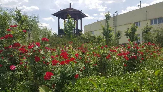 跃迪十年发展引人赞，百年跃迪辉煌令人盼