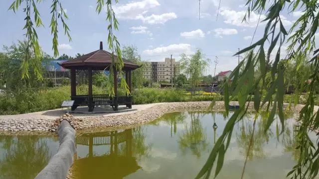 跃迪十年发展引人赞，百年跃迪辉煌令人盼