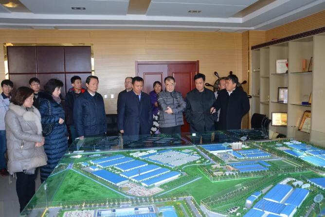 河北省政协副主席许宁一行莅临跃迪集团参观指导工作