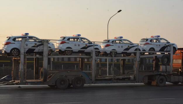 2019再发力|跃迪电动巡逻车批量发往海南省