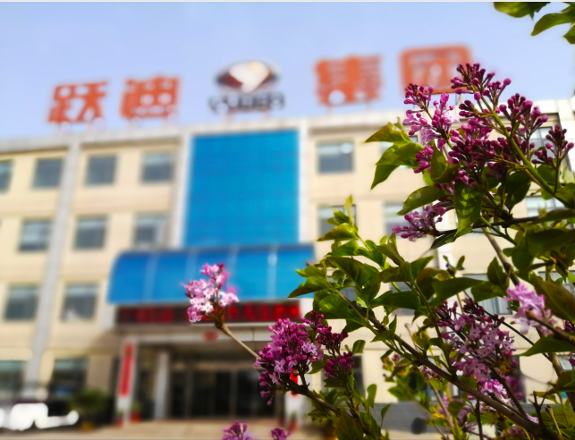 跃迪集团办公楼