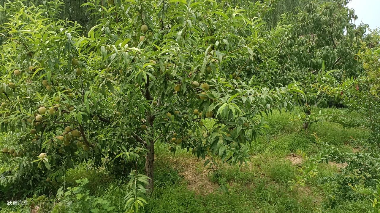 企业风采丨带您领略跃迪美景