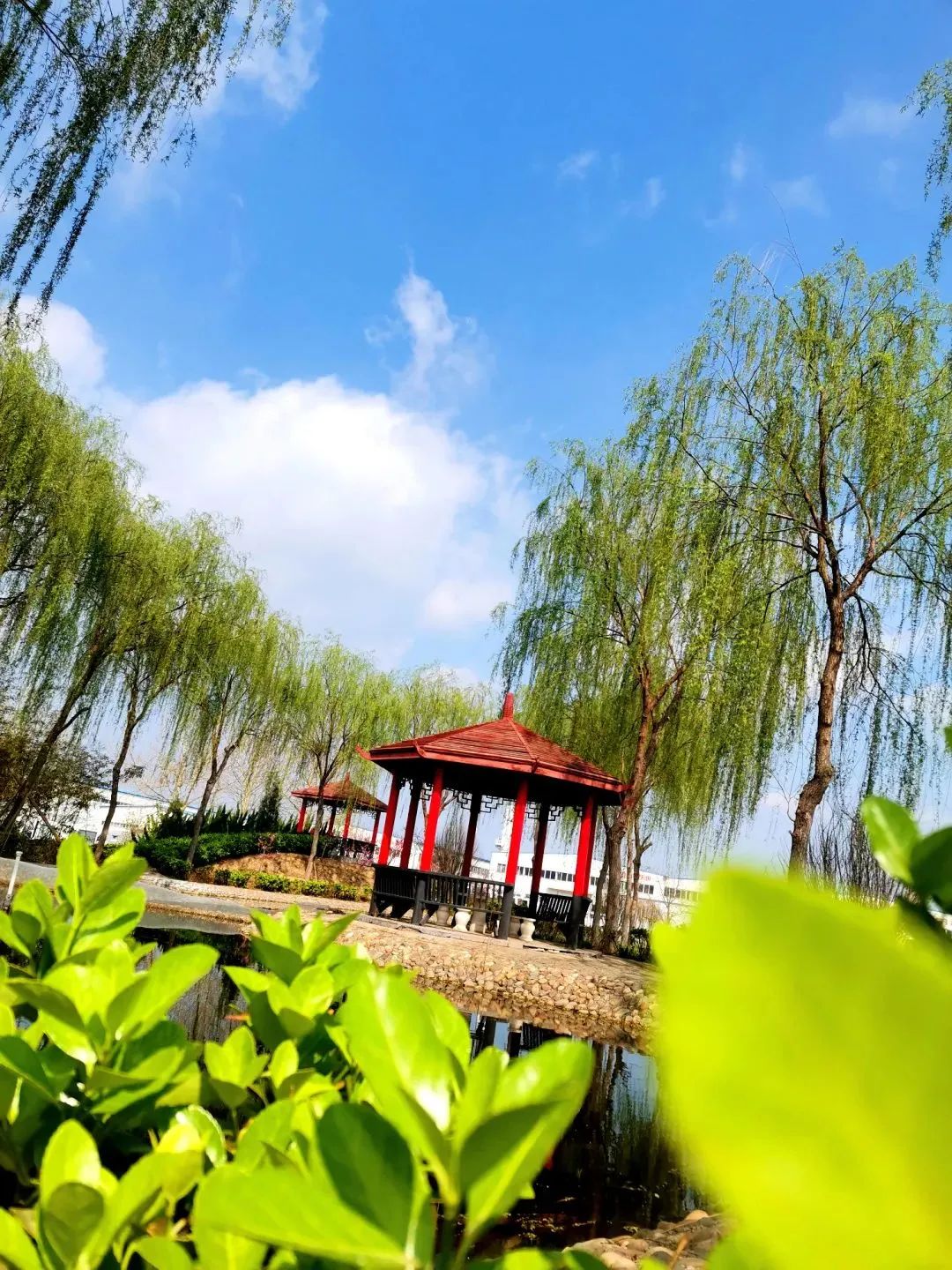 企业风采丨带您领略跃迪美景